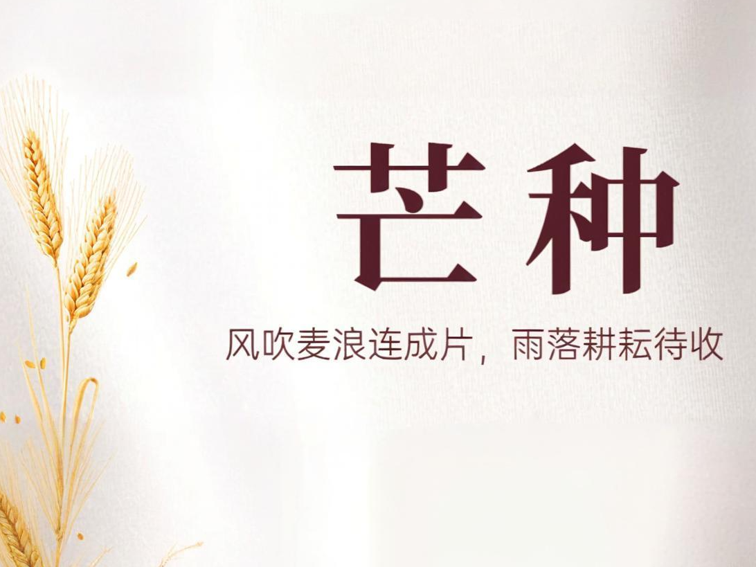 芒种 | 步履不停，耕耘正当时